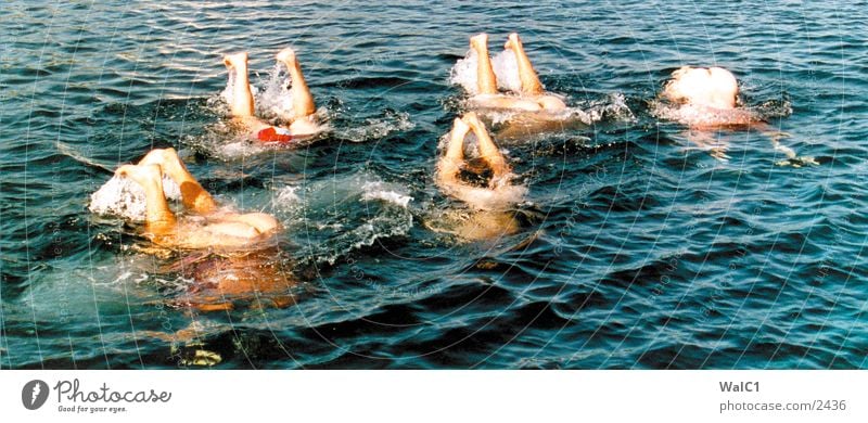 5 whales Ocean Waves Group Swimming & Bathing Hind quarters Water Legs Feet Blue Barefoot