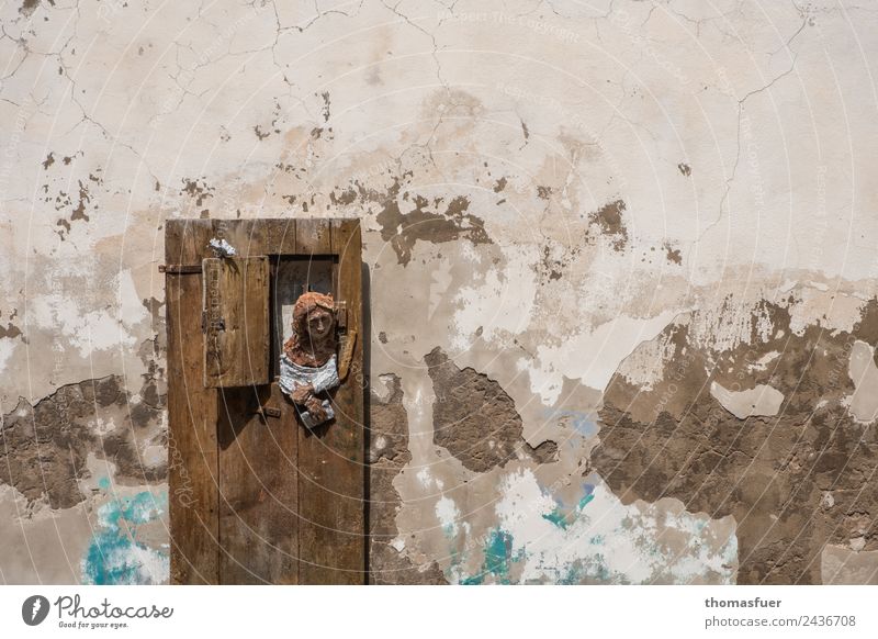 morbid facade Living or residing House (Residential Structure) Redecorate Human being Feminine Woman Adults 1 Sardinia Italy Small Town Wall (barrier)