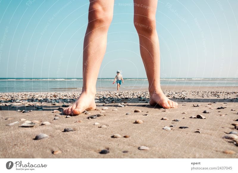 Colossus of Juist Child Legs Feet 2 Human being 3 - 8 years Infancy Water Summer Beautiful weather Beach Sand Swimming & Bathing Vacation & Travel Playing