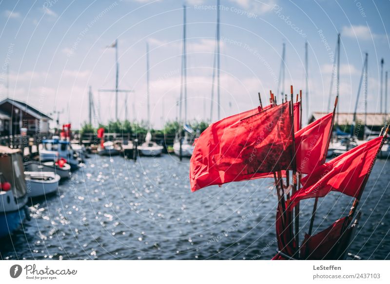 Red Flags Fishing Summer Sun Sky Clouds Sunlight Beautiful weather Fjord North Sea Ringkøbing Port City Deserted Harbour Fishing boat Yacht Sailboat