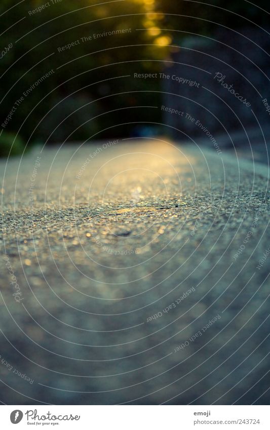 asphalt view Street Blue Sidewalk Curbside Asphalt Glittering Floor covering Colour photo Exterior shot Structures and shapes Deserted Copy Space bottom Morning