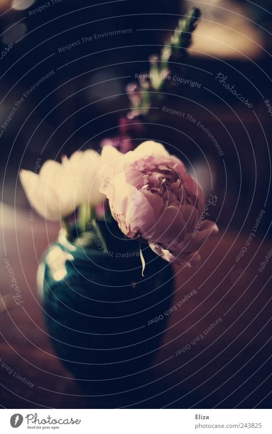 Nothing lasts forever... Flower Beautiful Vase Vintage Peony Mood lighting Decoration Flower vase Dark Table Romance Sadness Emotions Subdued colour