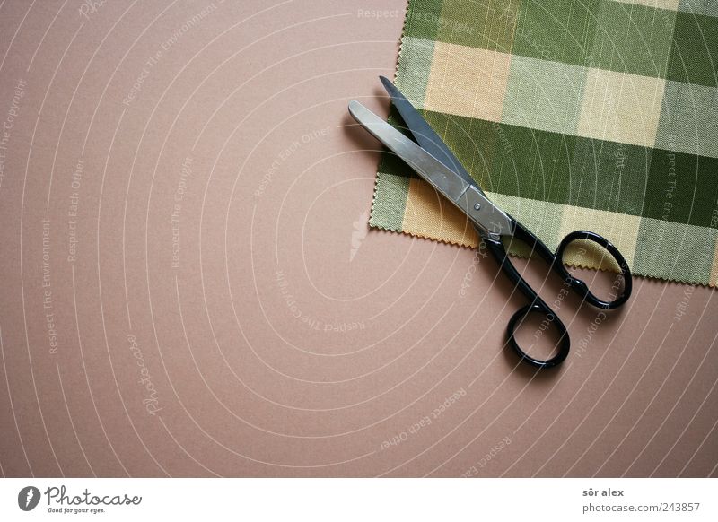 CREATIVE PAUSE Work and employment Tailor Craft (trade) Fashion Cloth Cloth pattern Scrap of fabric Scissors Hip & trendy Beautiful Kitsch Point Green