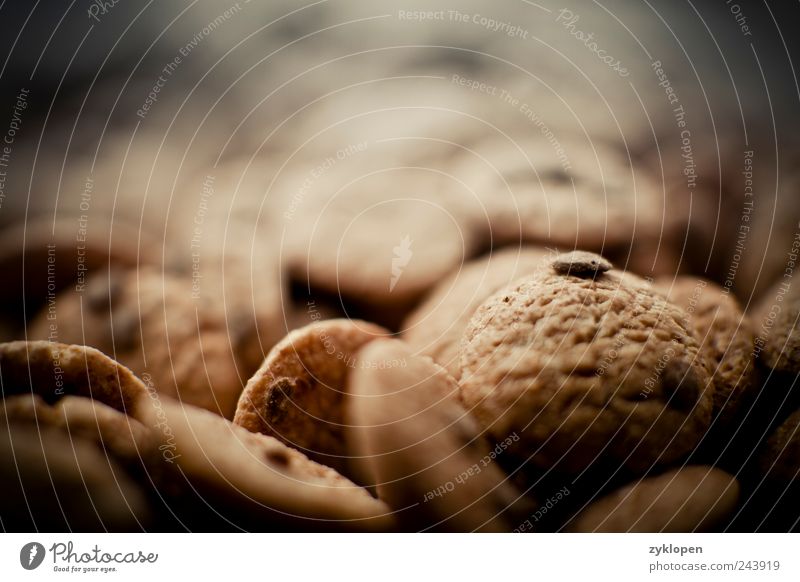 Cookie Mountains Food Breakfast Sweet Nutrition Cornflakes Hill Heap Candy Close-up Chocolate Colour photo Interior shot Deserted Morning Blur