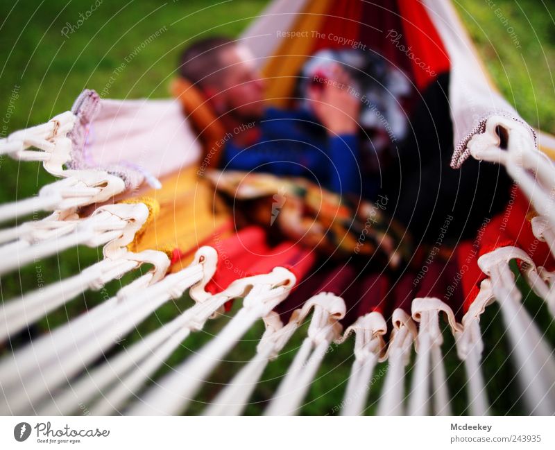 Summer Feeling Human being Masculine Man Adults 1 Nature Grass Meadow To enjoy Hang To swing Blue Brown Multicoloured Yellow Gray Green Red Black White Cozy