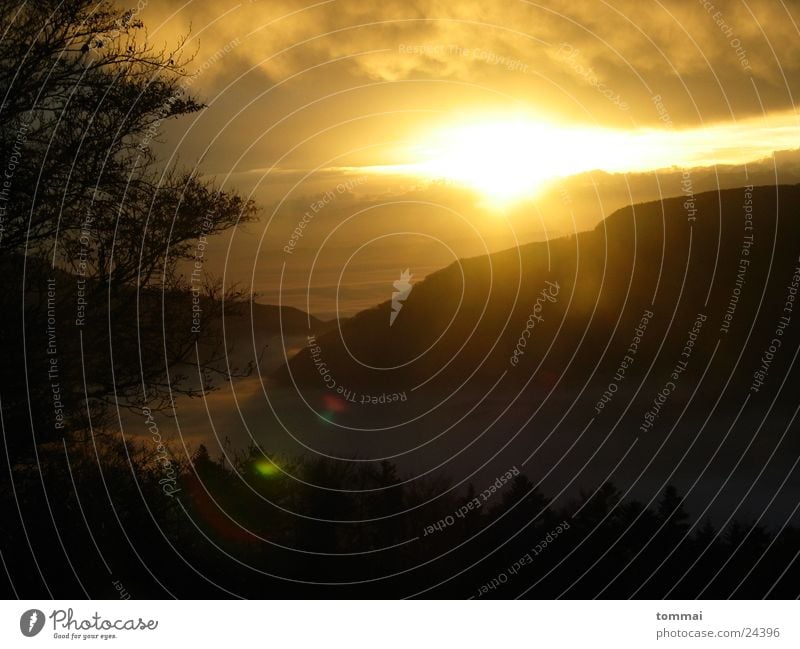 Cloudy Morning Clouds Sunrise Fir tree Fog Light Mountain