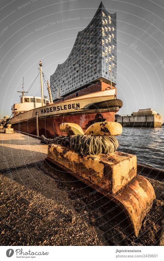 Pier in Hamburg with Elbphilharmonie in the background Europe Germany Northern Germany Evening Romance Idyll Calm Brown Sky Cloudless sky Watercraft Rope Shadow