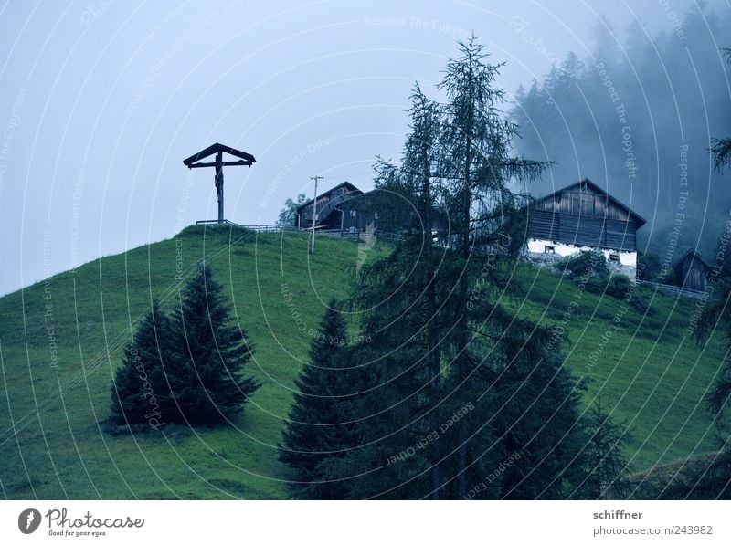 Brittany weather in Tyrol Landscape Bad weather Fog Rain Meadow Forest Alps Mountain Dark Slope Crucifix Peak cross Hut Alpine hut Mountain village Fir tree