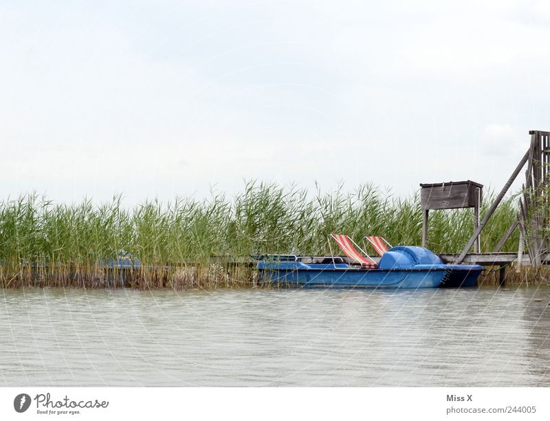 old pedalo Vacation & Travel Trip Summer vacation Water Grass Coast Lakeside Ocean Boating trip Pedalo Watercraft Swimming & Bathing Old Jetty Footbridge