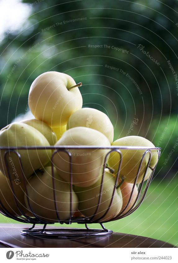 picked from the garden Fruit Apple Nutrition Organic produce Vegetarian diet Diet Bowl Garden Fresh Healthy Delicious Natural Round Sour Sweet Yellow Green Many