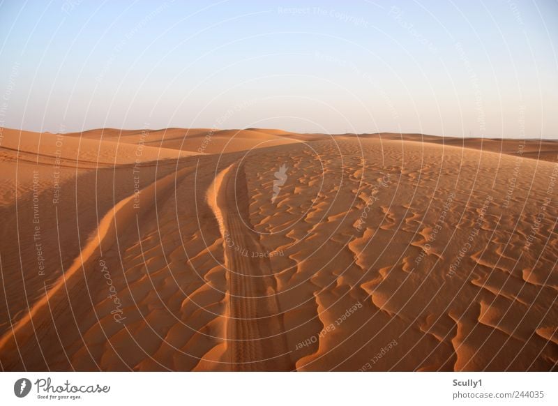 Desert in Saudi Arabia Environment Nature Landscape Elements Earth Sand Cloudless sky Climate Beautiful weather Hill Coast Beach Dune Adventure Beginning Effort