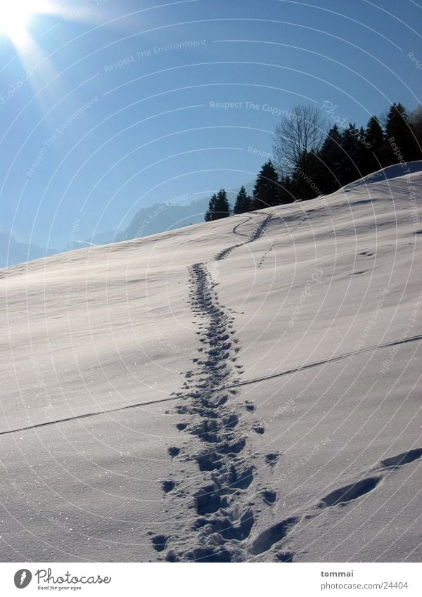 "Zigzag slit" 1 Canton Glarus Hiking White Hill disappearances Snow Tracks Sun Blue Sky