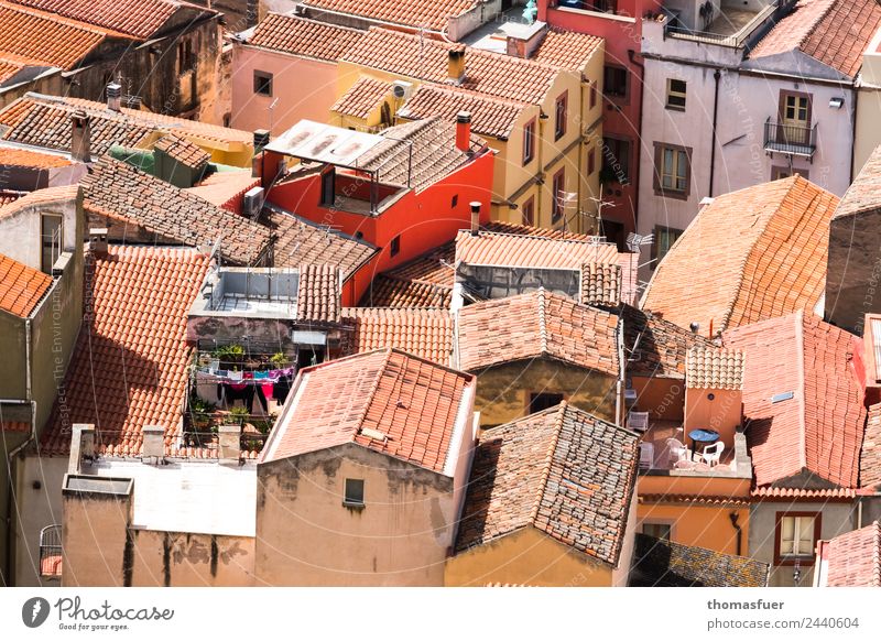 Sardinian village from above with red house Vacation & Travel Beautiful weather pink Italy Small Town Old town House (Residential Structure) Building Terrace