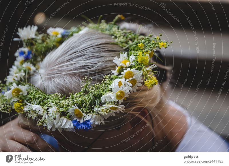 ... A wreath for you | UT Dresden Hair and hairstyles Happiness Beautiful Multicoloured Wreath Flower Bouquet Daisy Head Headdress Hairband Bride Colour photo