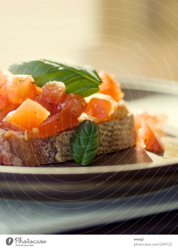 bruschetta Vegetable Bread Roll Lunch Vegetarian diet Diet Finger food Italian Food Plate Delicious Red Tomato Basil Basil leaf Colour photo Interior shot