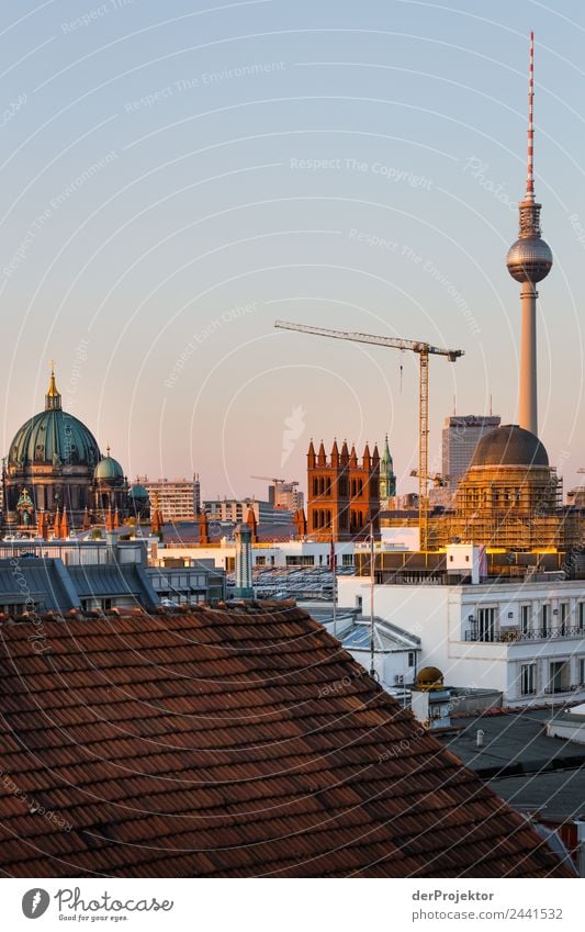 Berlin Panorama with view of Museum Island Central perspective Deep depth of field Sunbeam Sunlight Shadow Light Morning Copy Space middle Structures and shapes