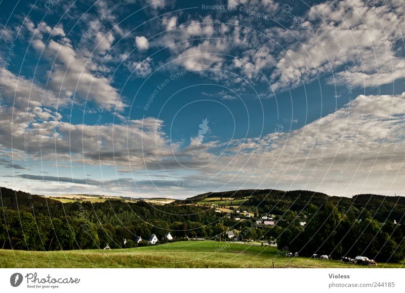 spa area Nature Landscape Sky Clouds Beautiful weather Meadow Mountain Discover Relaxation Erz Mountains forest Cow Vacation & Travel Cloud formation