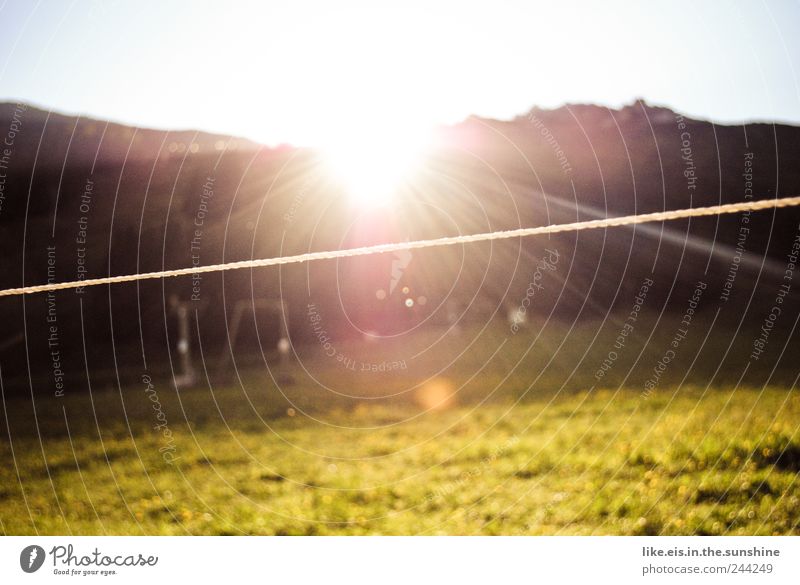 Good morning! Good morning! Senses Calm Summer Summer vacation Mountain Nature Landscape Cloudless sky Sun Sunrise Sunset Sunlight Beautiful weather Grass