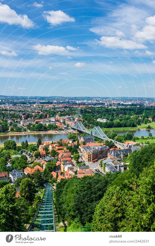 View over the Elbe to Dresden Vacation & Travel Tourism House (Residential Structure) Clouds Tree Park River Bridge Building Architecture Tourist Attraction