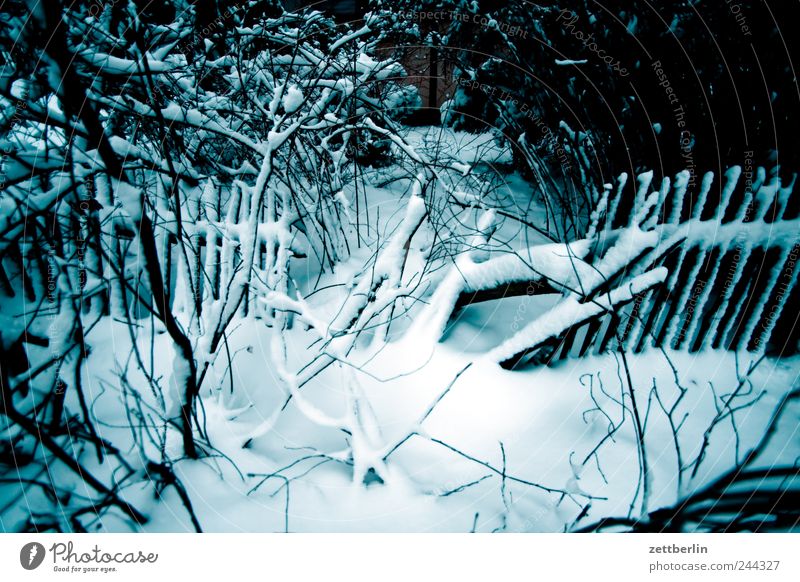 winter Winter Snow one Fence Gap in the fence Fence post Broken Crack & Rip & Tear Derelict lure Wooden fence Border Neighbor Forest Park Bushes Snow layer