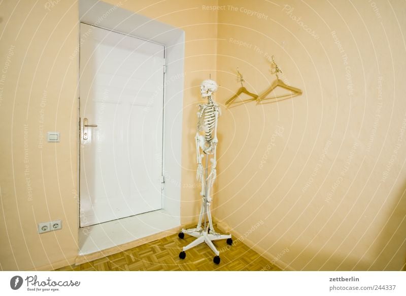 wardrobe Massage Professional training Internship Doctor Workplace Hospital Retirement Closing time Human being Skeleton 1 Wait Medical practice Treatment room