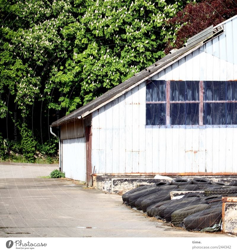 workplace House (Residential Structure) Agriculture Forestry Nature Beautiful weather Tree Deserted Manmade structures Building Farm Effort Fragrance Relaxation