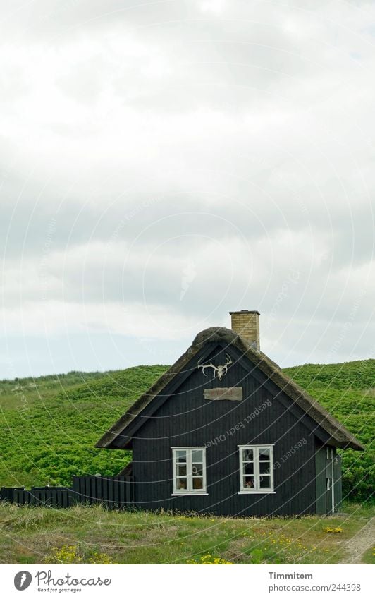 Simply beautiful - "HYG`LI`" Vacation & Travel Environment Clouds Summer Bushes Hill Denmark House (Residential Structure) Vacation home Antlers Wood Esthetic