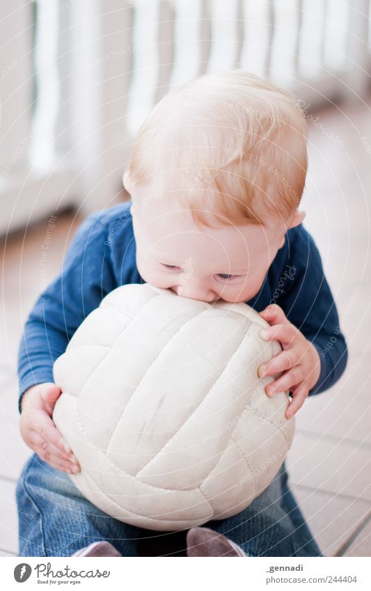 baby pill Human being Masculine Baby Face 1 0 - 12 months Playing Cute Soft Blue Joy Happy Happiness Warm-heartedness Beautiful Ball Blonde Smiling To hold on