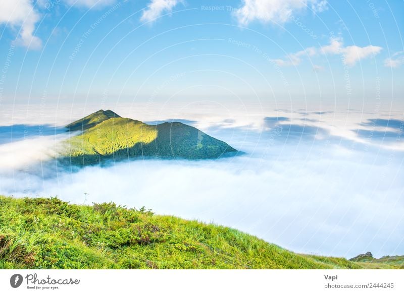 Top of green mountain Vacation & Travel Tourism Adventure Summer Sun Ocean Mountain Nature Landscape Sky Clouds Fog Grass Hill Fantastic Natural Blue Green