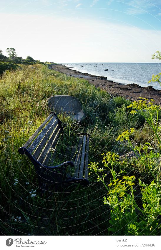 sea morning Vacation & Travel Tourism Trip Far-off places Freedom Environment Nature Landscape Plant Water Sky Horizon Summer Climate Weather Beautiful weather