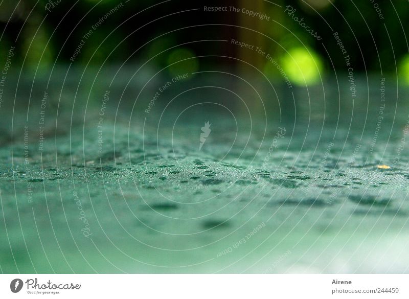 No outdoor breakfast today! Table Water Drops of water Summer Weather Bad weather Rain Garden Terrace Plastic Cry Wet Gloomy Green Black Disappointment