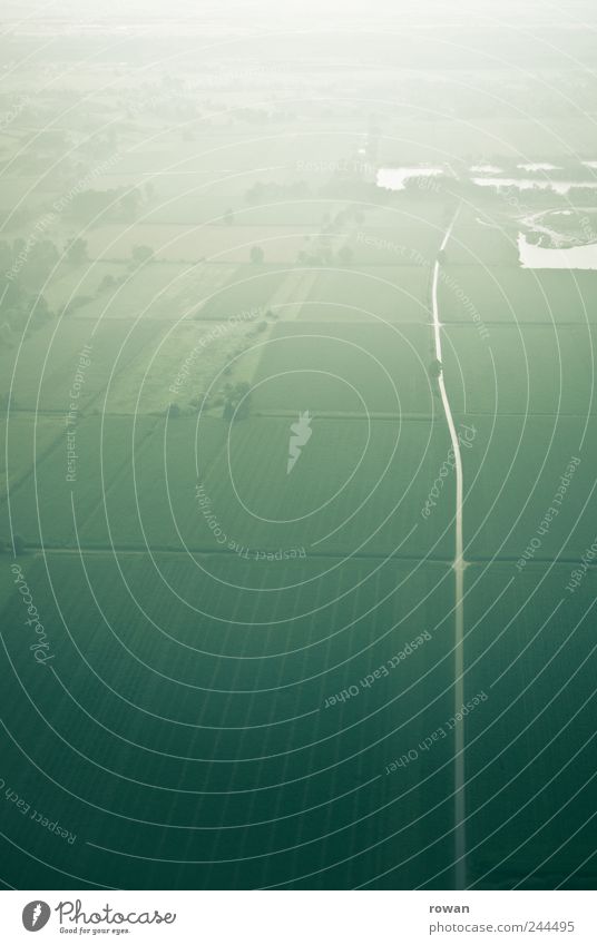 street Landscape Water Meadow Field Cold Wet Green Agriculture Footpath Street Fog Bad weather Aerial photograph Flying Progress Colour photo Exterior shot