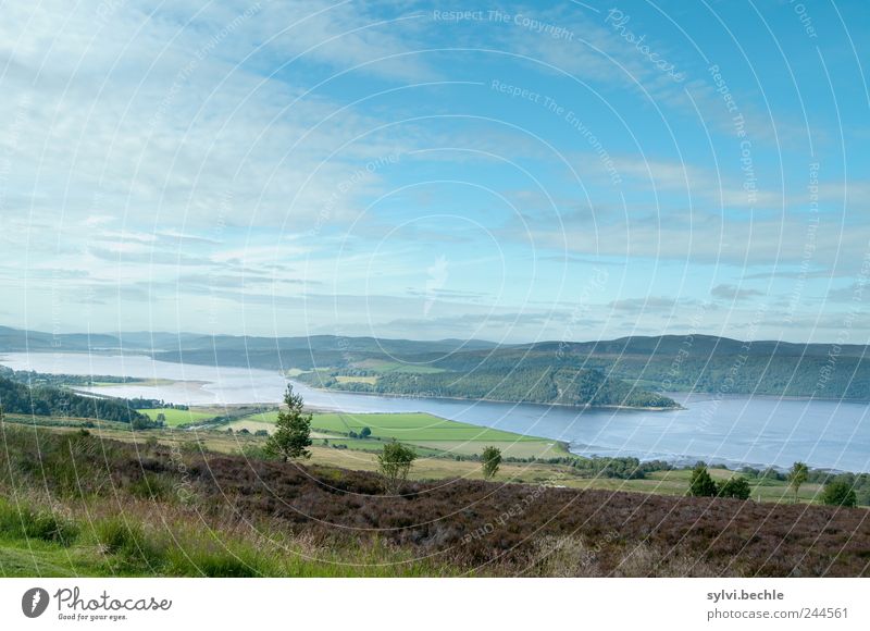 Scotland I Nature Landscape Water Sky Clouds Summer Climate Climate change Beautiful weather Tree Field Hill Mountain Coast Bay Ocean Idyll Environment Europe