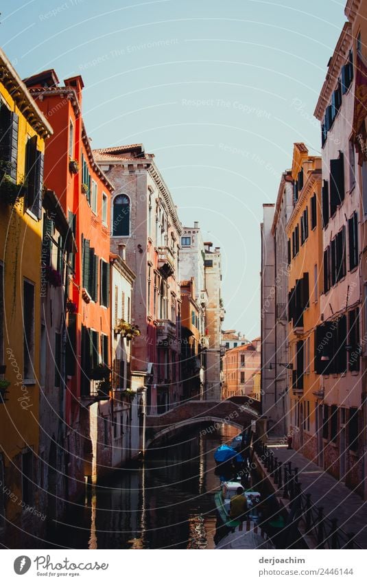 Nice living in Venice. In the middle of the city, small water street with boats. Small bridge . The sun is shining. The houses on the other side of the street are within reach.