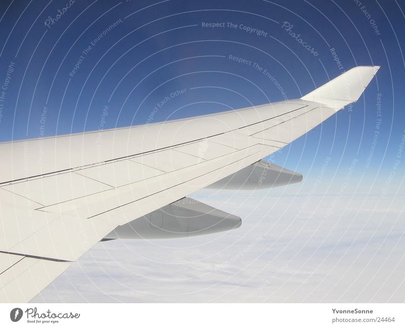 above the clouds Airplane Wing Clouds White Aviation Sky Blue