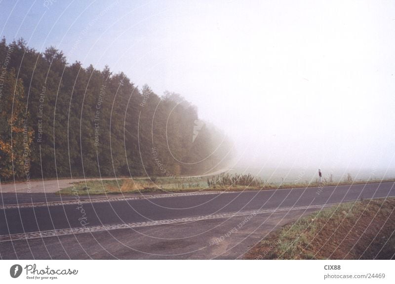 Morning fog 3 Fog Field Loneliness Transport Street Mountain Americas Sky