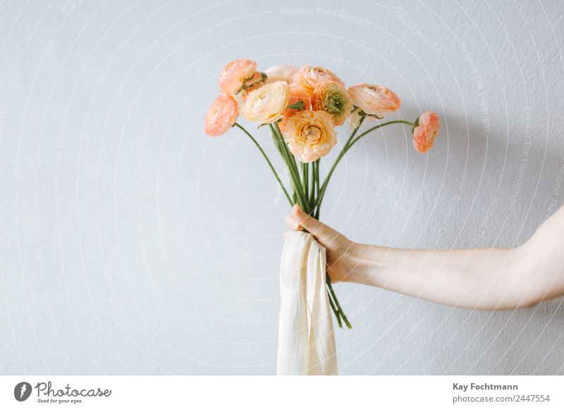 A bouquet of ranunculus in the hand of a woman in front of a white wall Lifestyle Elegant Style Wellness Harmonious Well-being Relaxation Calm Fragrance