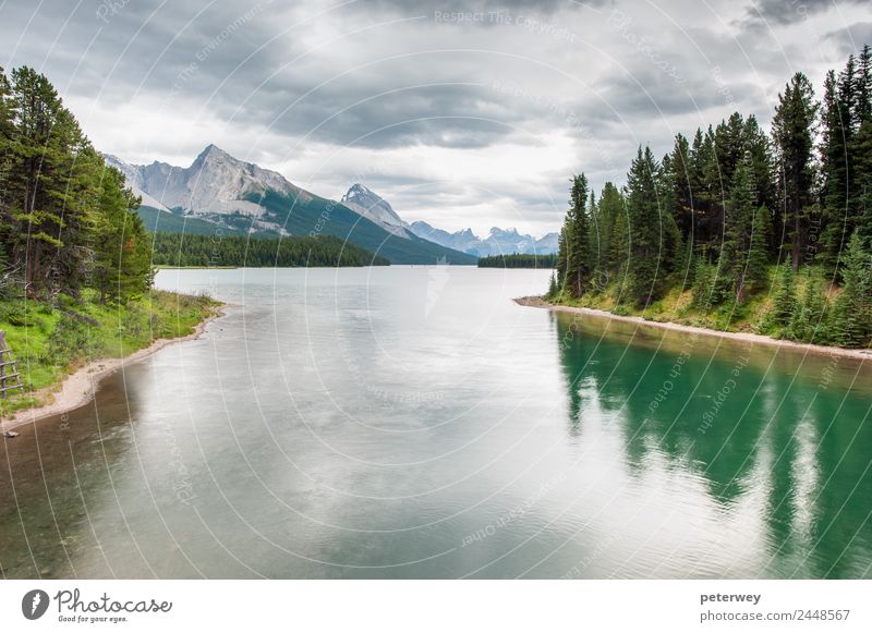 Maligne Lake, Jasper National Park, Alberta, Canada Vacation & Travel Trip Summer Mountain Hiking Nature Clouds Forest Swimming & Bathing Gray Green Contentment