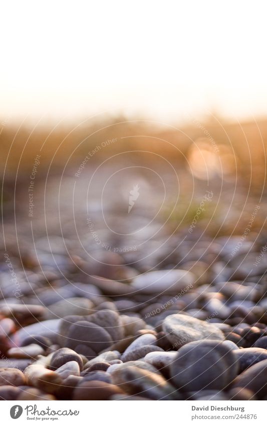 stony road Calm Nature Summer Stone Stony Lanes & trails Colour photo Exterior shot Close-up Detail Deserted Dawn Day Evening Twilight Light Contrast