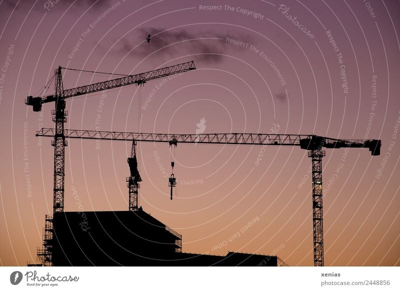 Construction cranes in front of the sky at dusk Workplace Craft (trade) Construction site Closing time built Concrete Build Scaffold Evening Twilight Silhouette