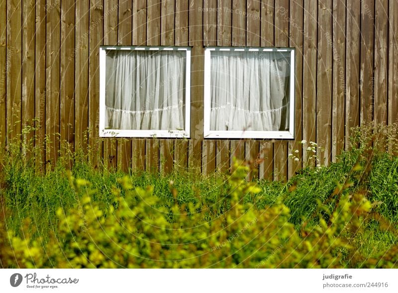 harbour idyll Bushes Village Fishing village House (Residential Structure) Hut Building Wall (barrier) Wall (building) Facade Window Wood Uniqueness Kitsch