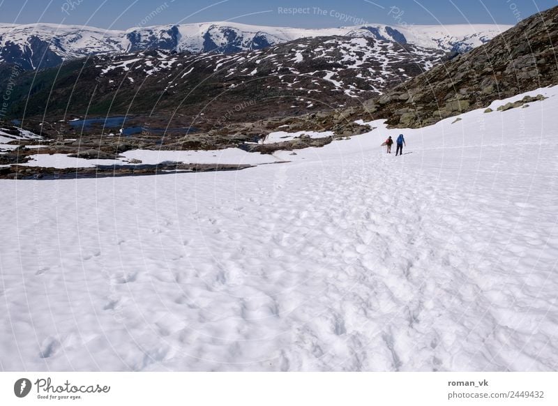 who took Big Foot? Environment Nature Landscape Plant Earth Spring Beautiful weather Mountain Bright White trolltunga troll tongue Vacation in Norway hike