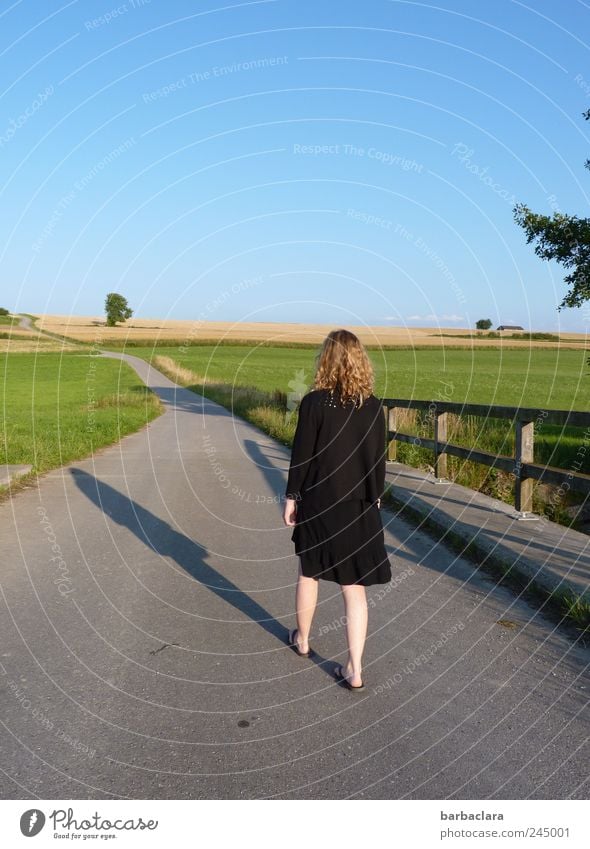 Enjoy the summer Harmonious Contentment Senses Calm Feminine Woman Adults 1 Human being Nature Landscape Sky Cloudless sky Summer Beautiful weather Meadow Field