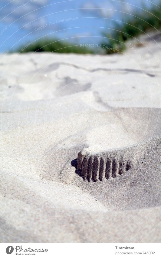 Puzzles in the sand Vacation & Travel Summer Environment Nature Landscape Sand Sky North Sea Dune Denmark Gray Joie de vivre (Vitality) Calm Colour photo