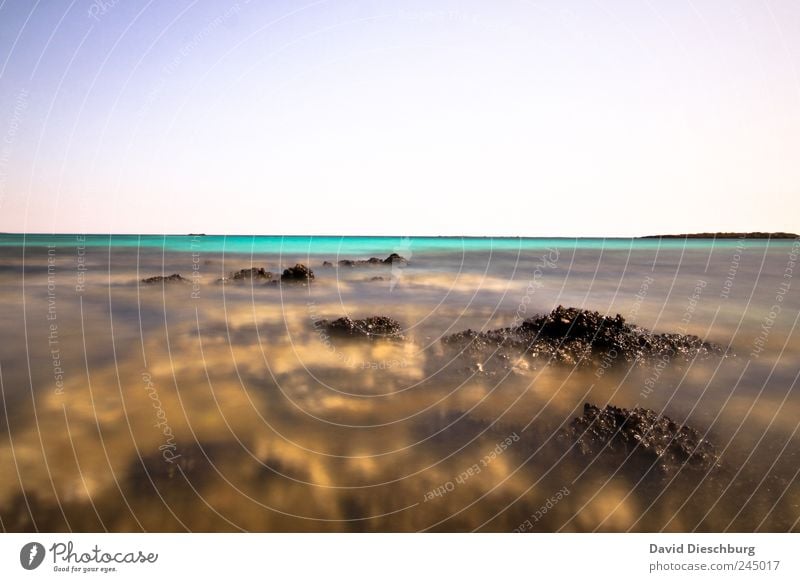 The fascination of the sea Far-off places Freedom Nature Landscape Water Cloudless sky Summer Beautiful weather Rock Coast Reef Coral reef Ocean Island Blue