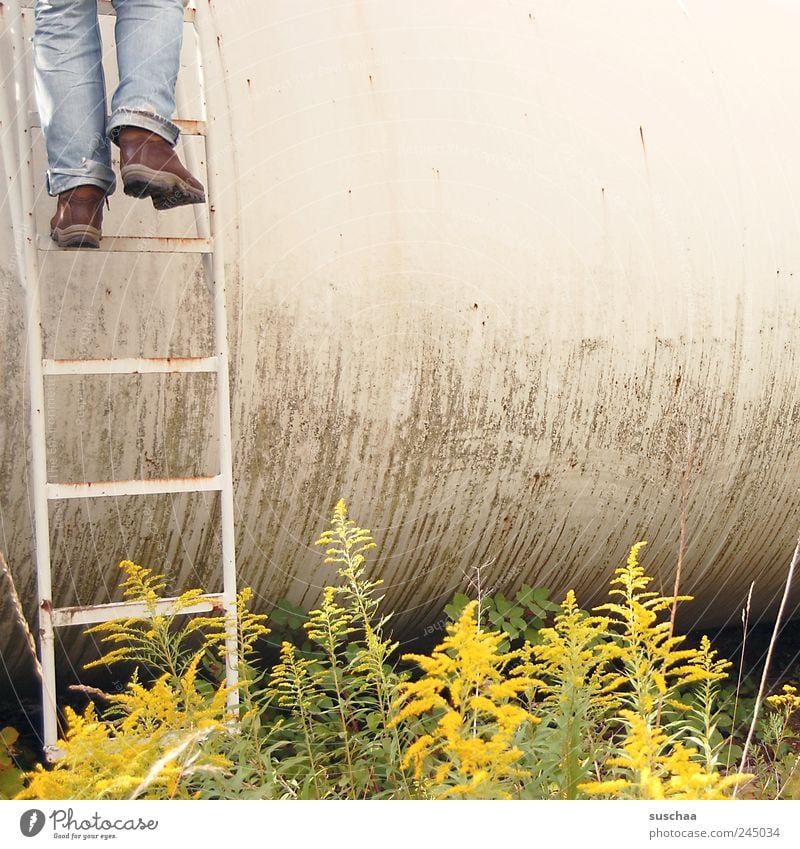 ascending or descending ... Plant Summer Bushes Fern Foliage plant Bans Feet Boots Legs Ascending Climbing Ladder Tank bins Colour photo Subdued colour