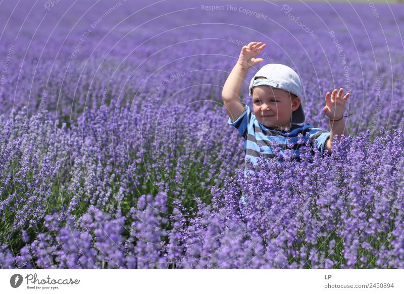 lavender freedom Lifestyle Exotic Joy Fragrance Leisure and hobbies Mother's Day Parenting Education Human being Child Baby Brothers and sisters