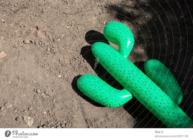 Soomer in Berlin Prenzlauer Berg Joy Environment Environmental pollution Environmental protection Statue Trash Cactus Backyard Sand Colour photo Exterior shot