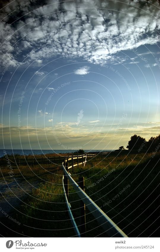 Paddock with lake view Environment Nature Landscape Plant Sky Clouds Horizon Climate Beautiful weather Tree Grass coast Baltic Sea Willow tree Fence Boundary