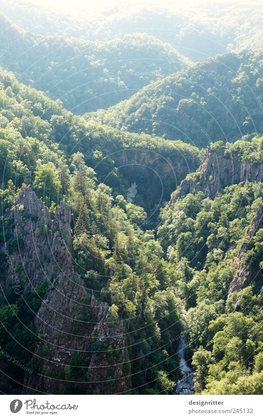 Behind the seven mountains ... Environment Nature Landscape Summer Climate Weather Beautiful weather Forest Rock Mountain Harz northern resin Bodetal Canyon